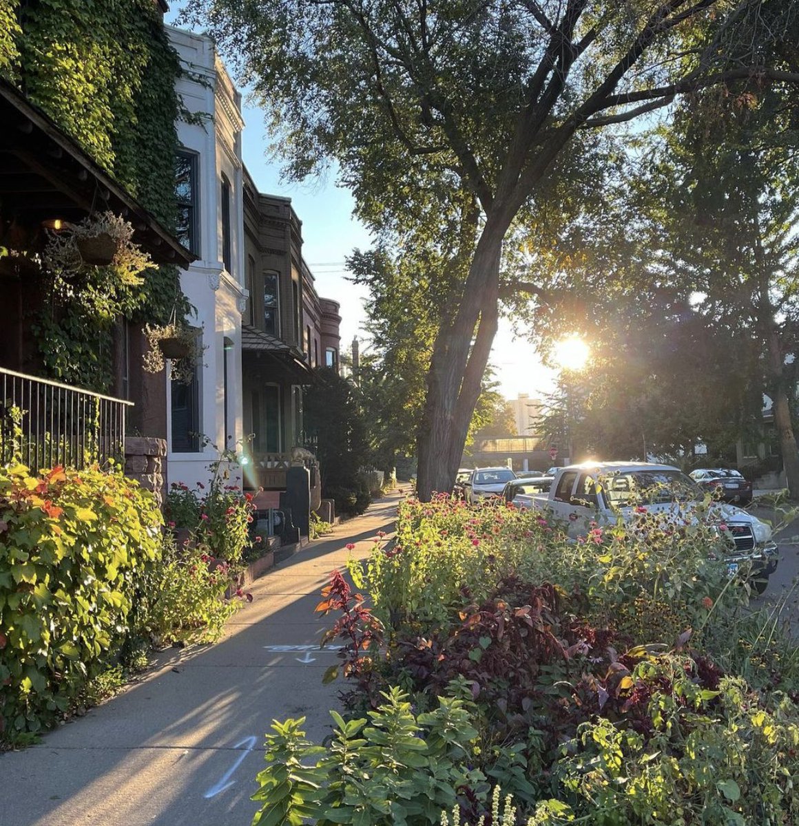 MCAD Continuing Ed tweet media