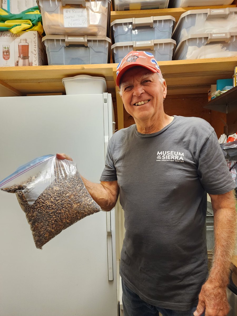 DyerDialogue's tweet photo. Well folks, #SeedSeptemeber has been fun! Looking back there are alot of good memories. We, @americanforets, hope you learned something new & that you'll be part of the movement to #SaveOurSeed! Only together, our powers combined, will we beat this wicked problem. #ActOnClimate https://t.co/BbEuZpE5Ns