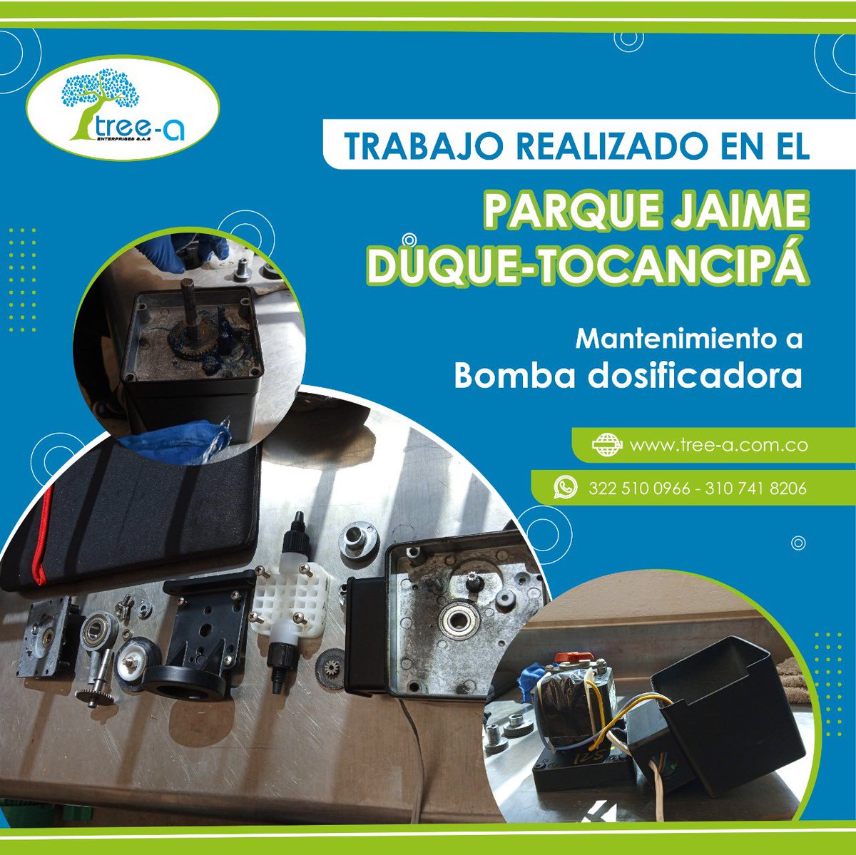 treeaenterprise's tweet photo. 💦 En esta ocasión se realizó un trabajo a la Bomba dosificadora del Parque Jaime Duque📍. Se limpió, desarmo, engraso y se dejó funcionando nuevamente. 👌

📲 Pregunta por nuestros productos y servicios en nuestro whatsapp 322 510 0966 - 310 741 8206.

#TreeA #TratamientoDeAgua https://t.co/AZ3jL3zYS6