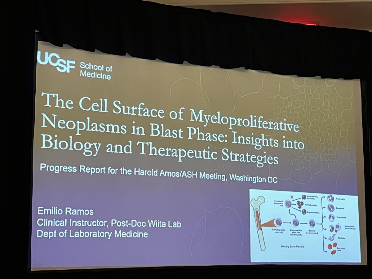 apwiita's tweet photo. Fantastic meeting for the @RWJF Harold Amos Minority Faculty Development Award. Proud to mentor Emilio Ramos as he discovers new immunotherapy targets for rare #AML subtypes, and totally blown away by the accomplishments of all the trainees in this program! #humbling https://t.co/AIESNkIBqn