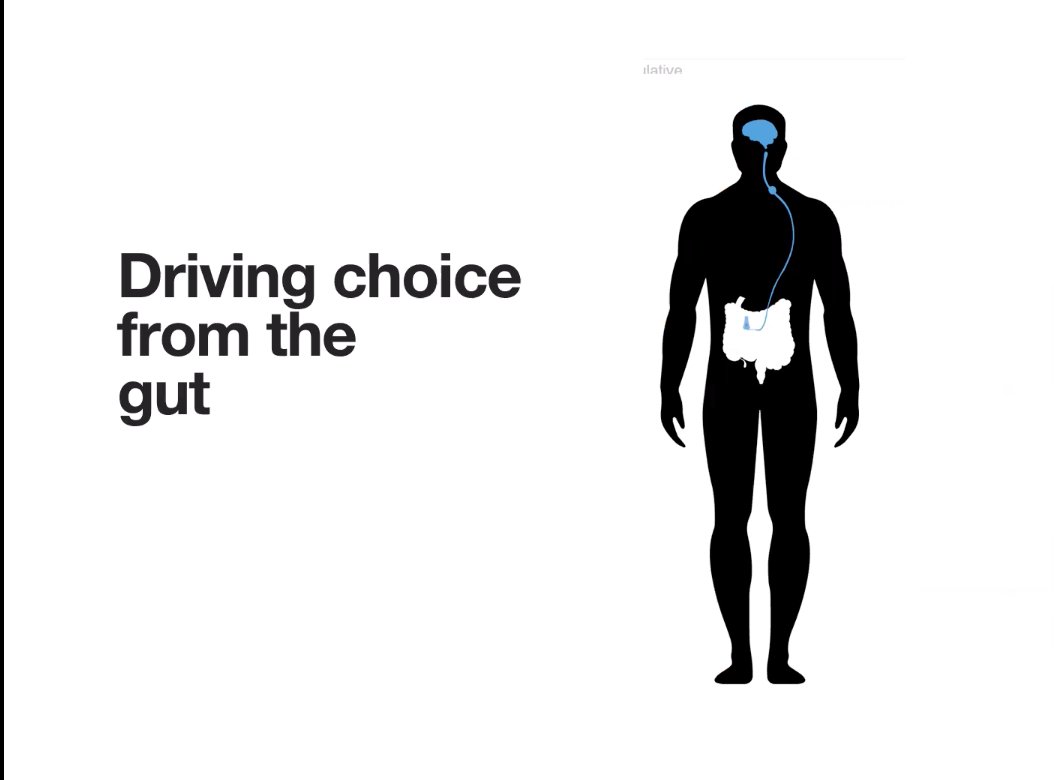 Overall, Kaelberer concludes that our gut seems to be doing a lot more than we realize, and indeed, it’s driving our choices as to what it is that we are eating.@SigmaXiSociety @AmSciMag #amscitalks