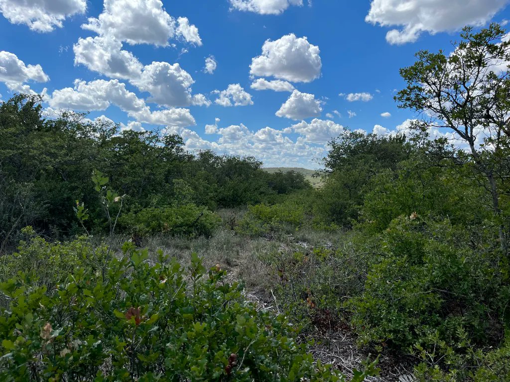 🚨Featured Friday🚨-----NEW LISTING--->>2.06 Ac Lot 109 Hidden Shores Cisco

Great views of Lake Cisco! 
MLS# 20167872 
$105,000

Matt & Laura Gilmore, REALTORS®
(940) 577-9679

 #CiscoTX #LakeCisco #EastlandCounty #SellingTexas #NewListing #JustListed #FeaturedFriday #TRL