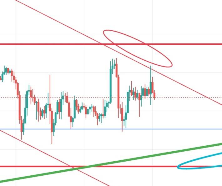 chi_taka_'s tweet photo. おはようございます😊
寝てしまって、赤丸で売れませんでした、の朝😓

ビットコイン https://t.co/JtTkOn1cJW