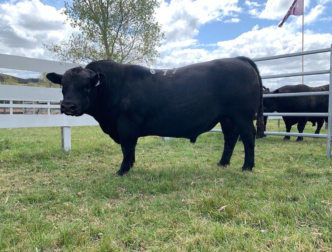 Escritorio Arrospide tweet media