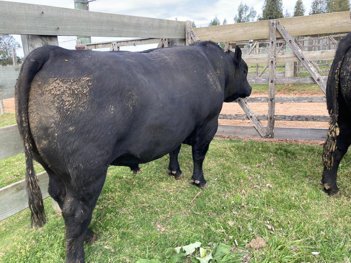 Escritorio Arrospide tweet media