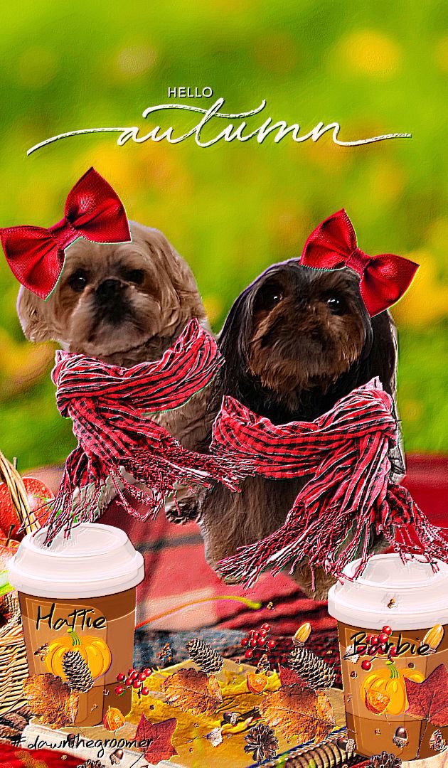 Jerry Hughes tweet media