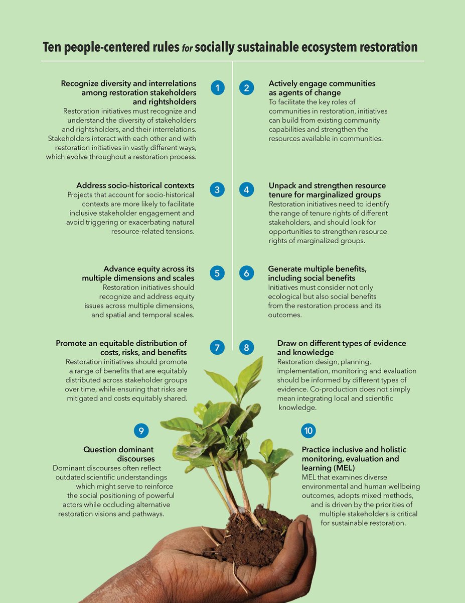 UNBiodiversity's tweet image. Here are 🔟 golden guidelines for #reforestation that maximize carbon sequestration, #biodiversity recovery, livelihood benefits, and carbon sequestration! ⤵️ via @wiley #Fornature 🌏🌳