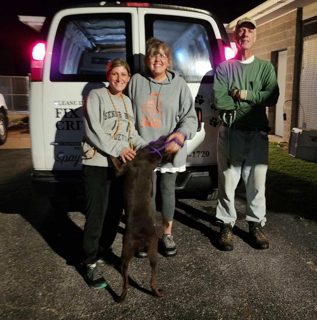 AngiePadgett6's tweet photo. The 4:00 a.m. dog walkers. โค๏ธ
#daviesscountyanimalcareandcontrol #DCACC #OwensboroKy https://t.co/LbobOYwBX6