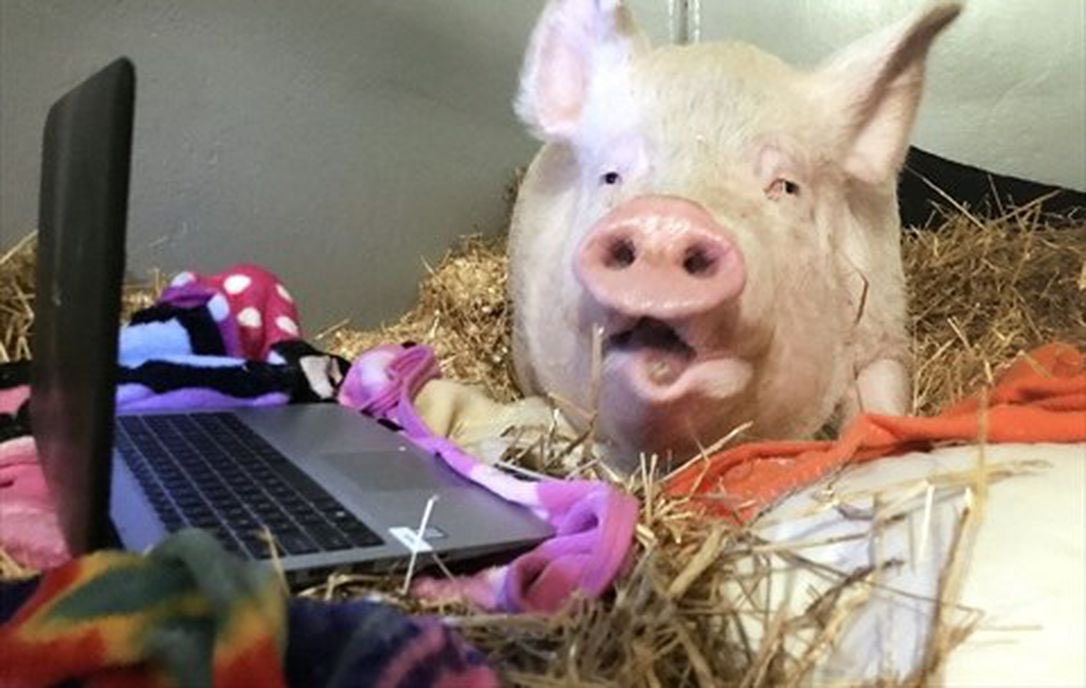 Dan Stemkoski tweet media