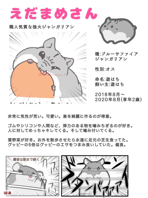 遊ハち家の歴代ハムスター 