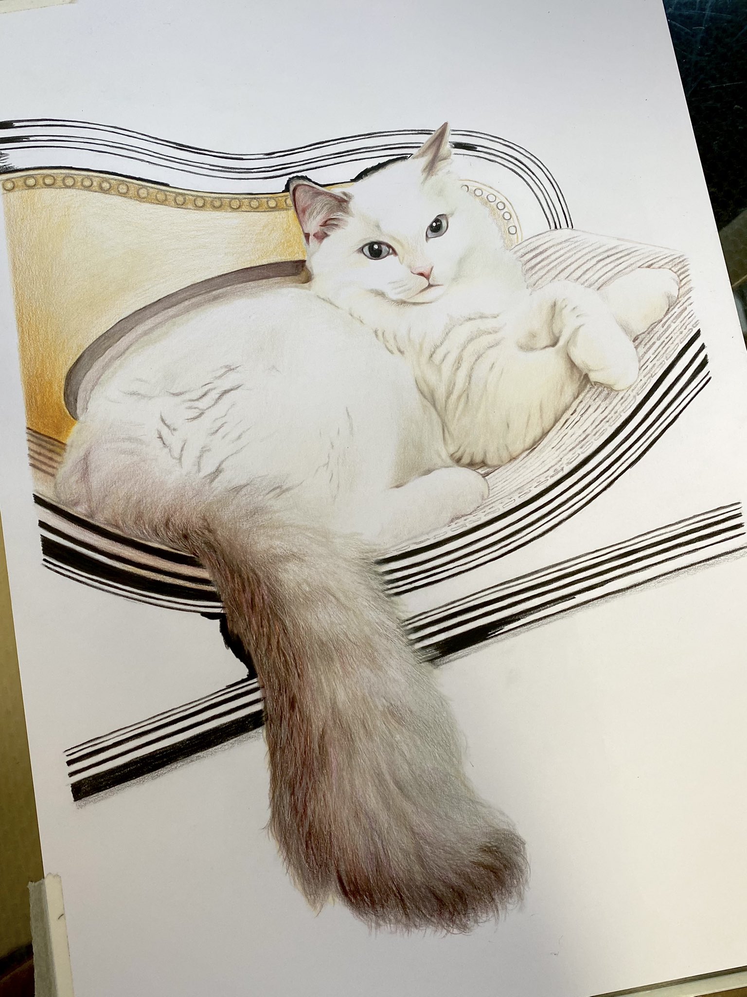 送関込み 猫 絵 イラストのみ「yufu猫」 2番 絵画/タペストリ