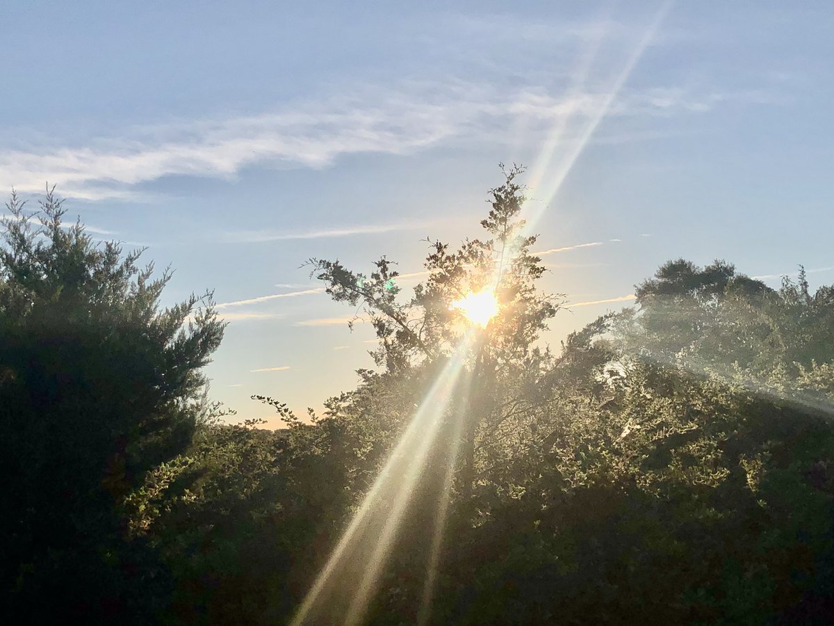 Pastor_Jim's tweet photo. #Psalm61 So will I ever sing praises to your name... Psalm 61:8a #PsalmForToday #mymorningpromenade🏃 #stuffiliketolookat https://t.co/EAVdm9te5r