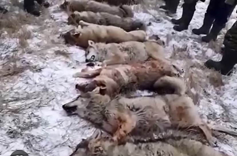 Barstool Minooka tweet media