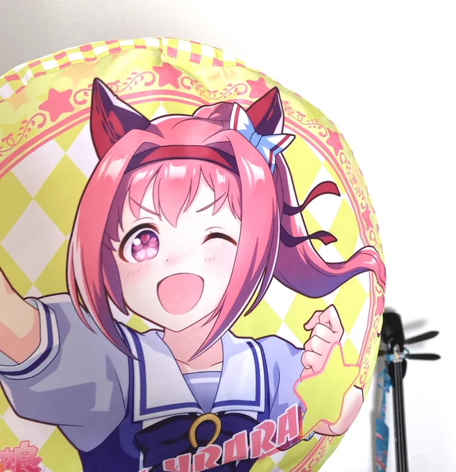 この間ノリで取ったけど思ったより大きかったクッション 