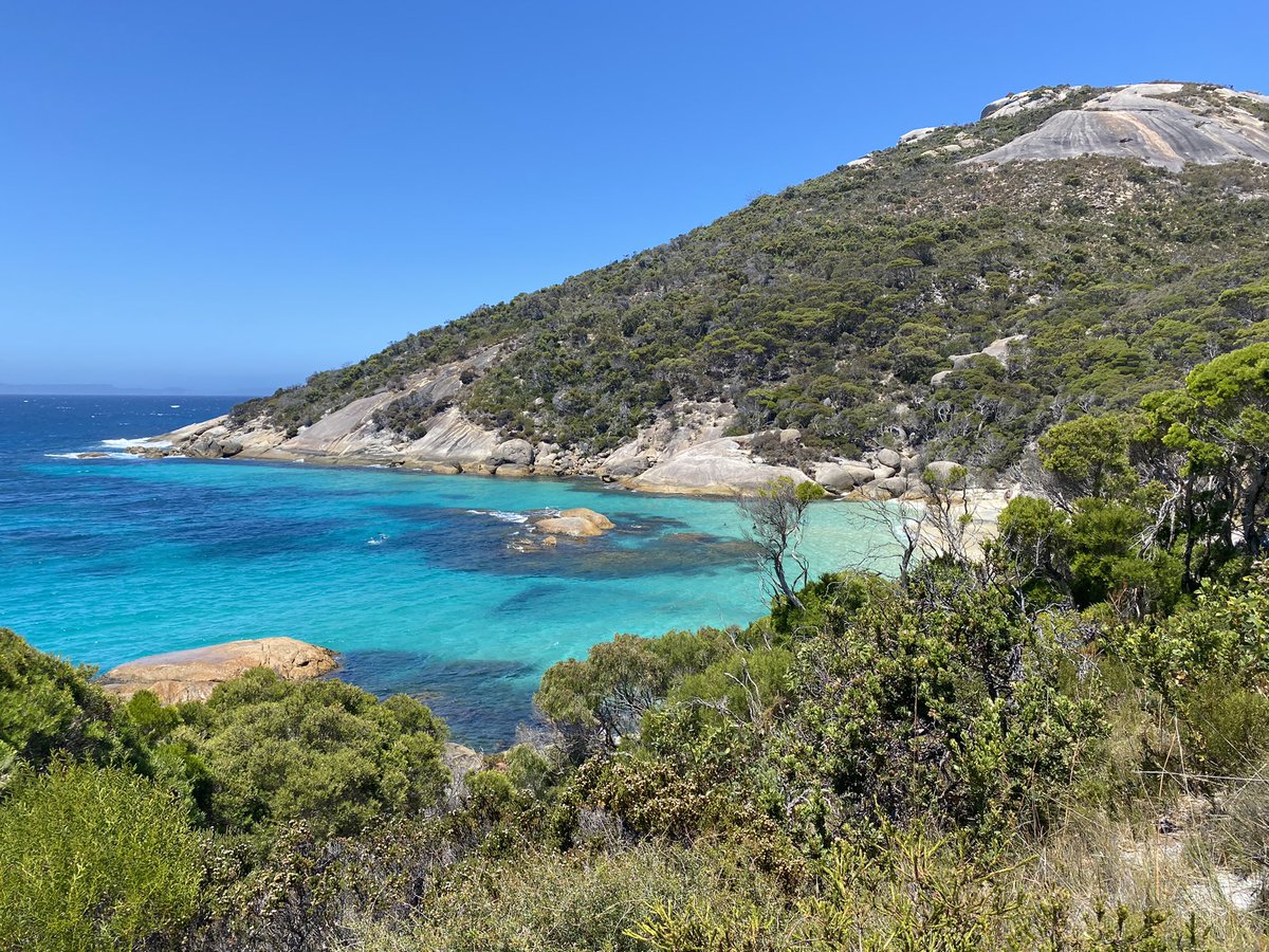 RodentRage tweet media