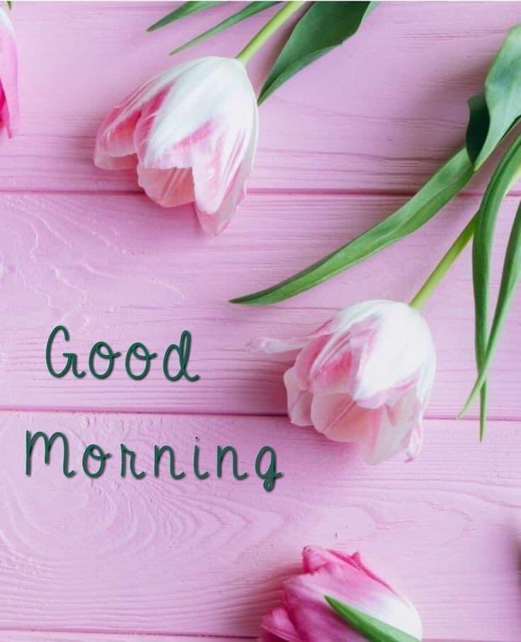 dpm22041964's tweet photo. @shrisht48096613 https://t.co/IQg72lUKIP