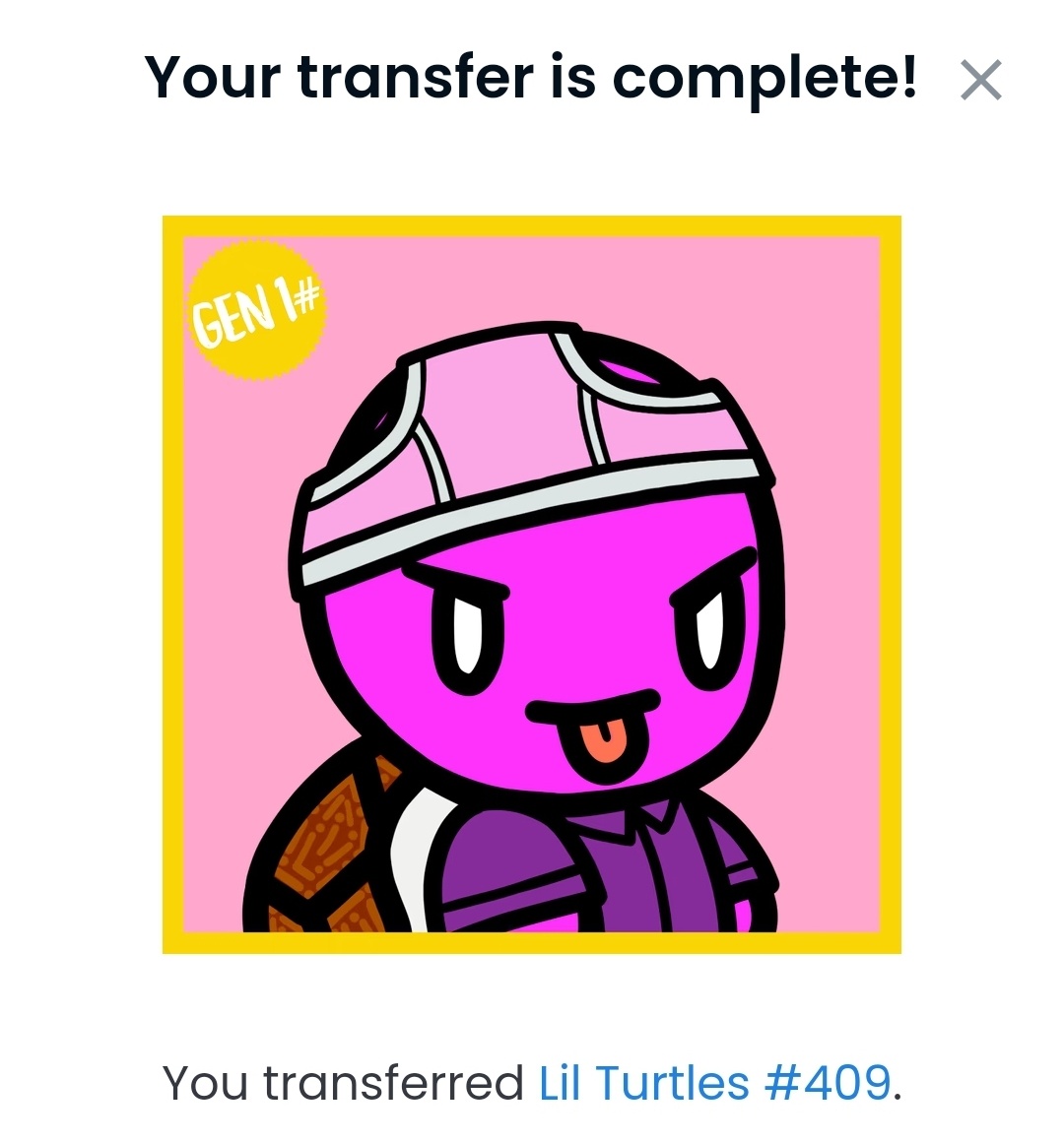 Lil Turtles tweet media