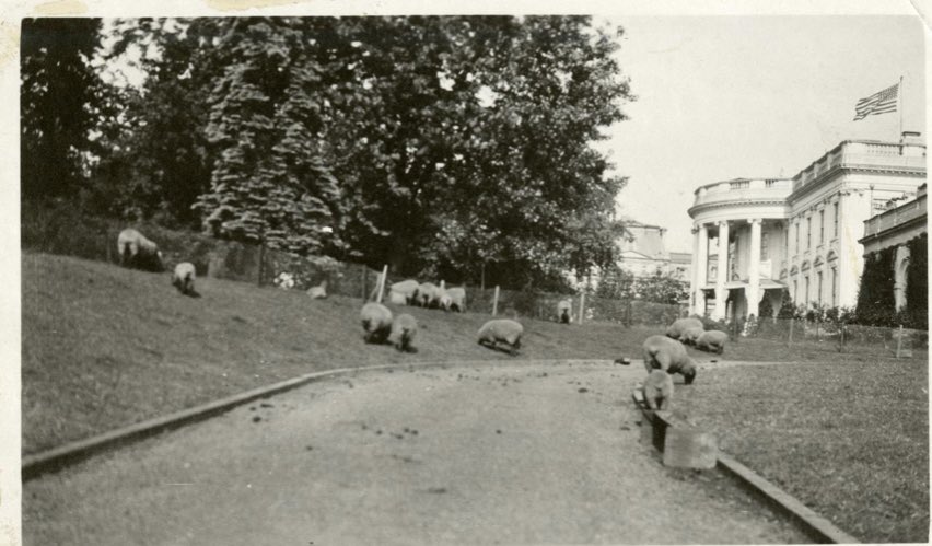 John Wilkes tweet media