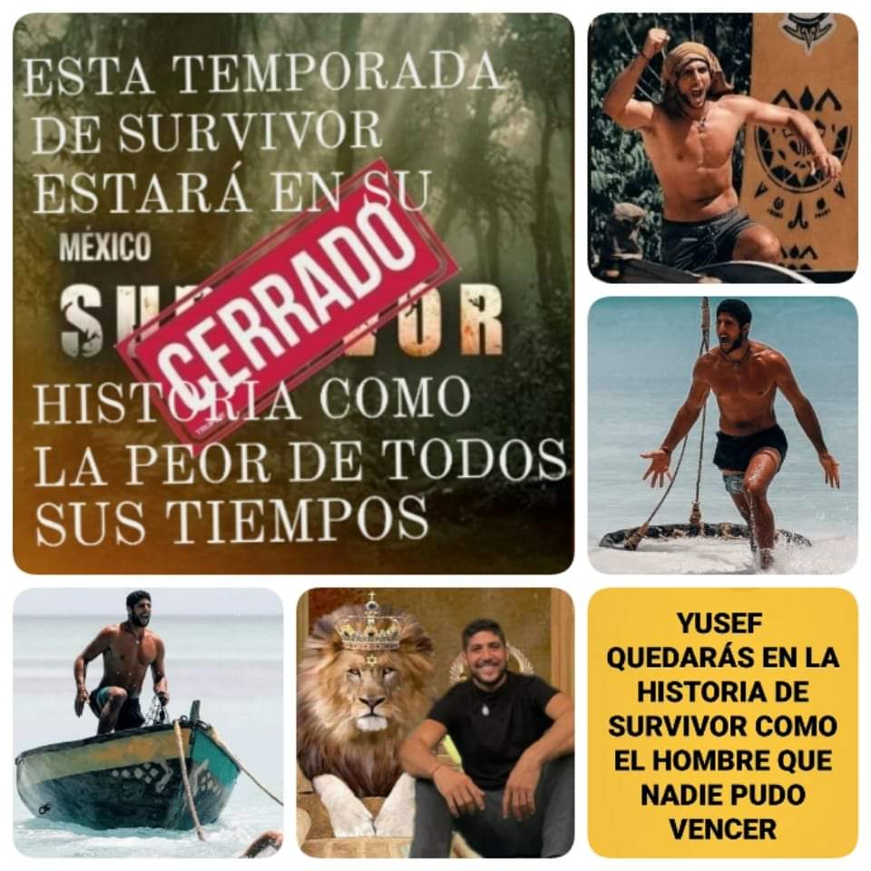 IsabelVm28's tweet photo. Siempre será indiscutiblemente #YusefCampeonLegitimo pesele a quién le pese,tu manada siempre contigo 🦁🦁🦁🦁🦁💛💛💛💛💛💪💪💪💪💪👏👏👏👏👏 #SurvivorGranFinal https://t.co/0CeZ3gtN6d