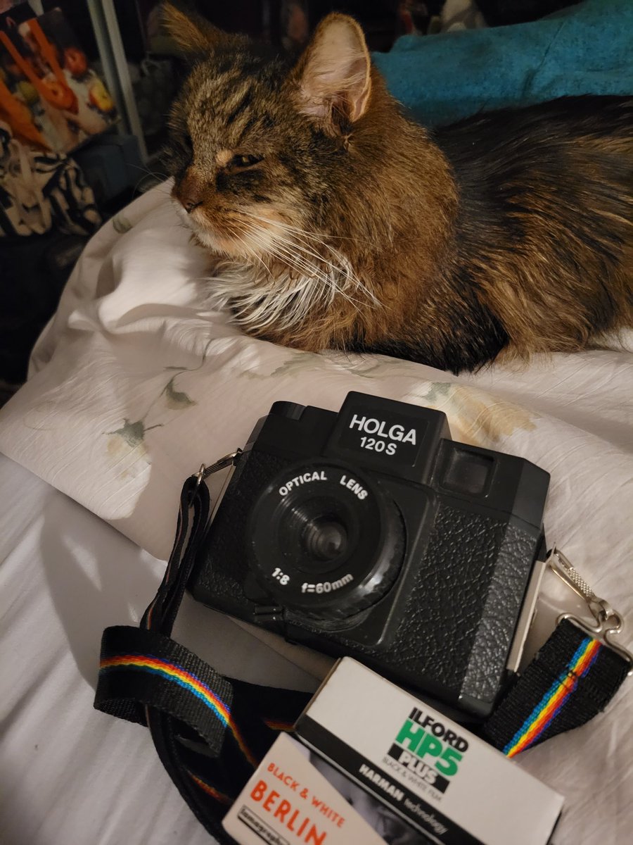 beauharnais's tweet image. Mr McSweeney and I are ready for @HolgaWeek