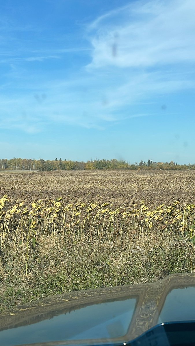 NailJayden's tweet photo. The Peace Country sure offers some breathtaking views. Great week up in Northern Alberta talking bout #LALFIXSTART. Now, back to introducing our amazing #Inoculant in southern Alberta next week after a recharge this weekend! #LALFIX #NewTechnology #AbAg #Farm365 #Harvest22 https://t.co/YFDgYOg7co