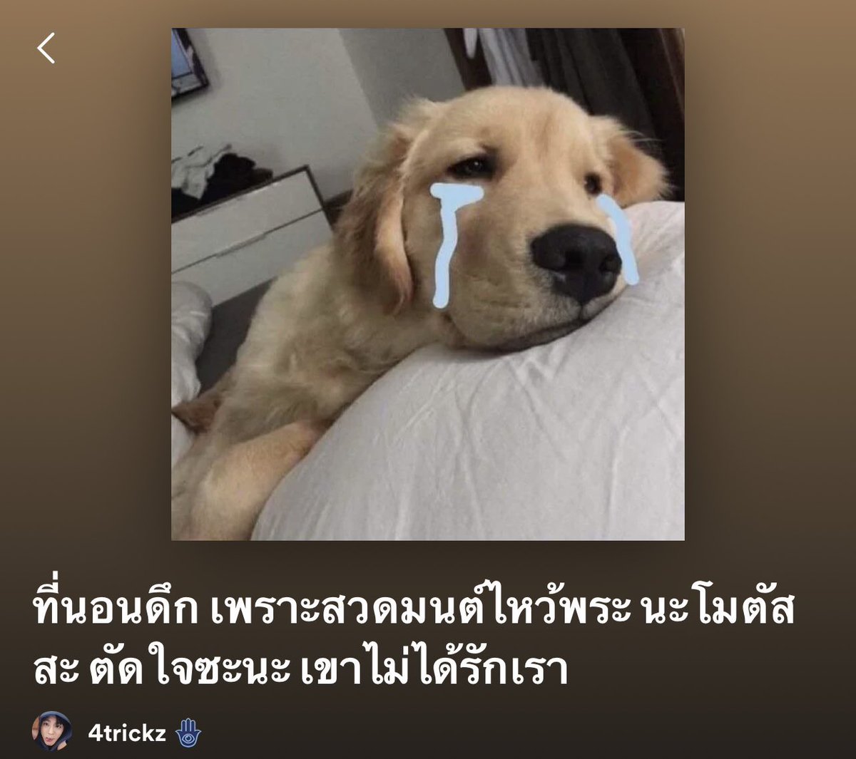 ตัดใจนะ