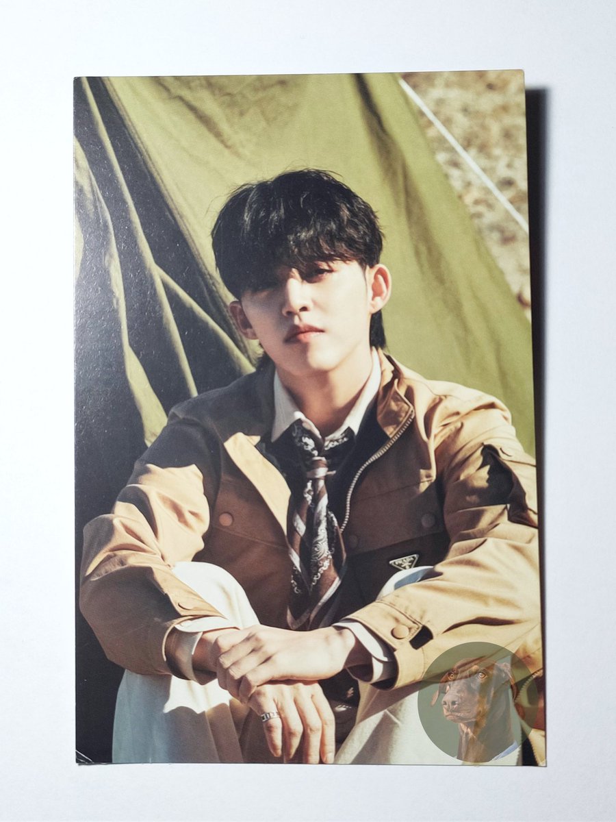 bamshoppe's tweet photo. #budolnibam | wts lfb svt ph ๐ป
face the sun - postcards
- path / pioneer ver.
- 65 pesos each; 110 if by 2's
๐ท๏ธ fts svt s.coups joshua vernon hoshi face the sun seventeen ic wts lfb ph https://t.co/XV6GRGglmk