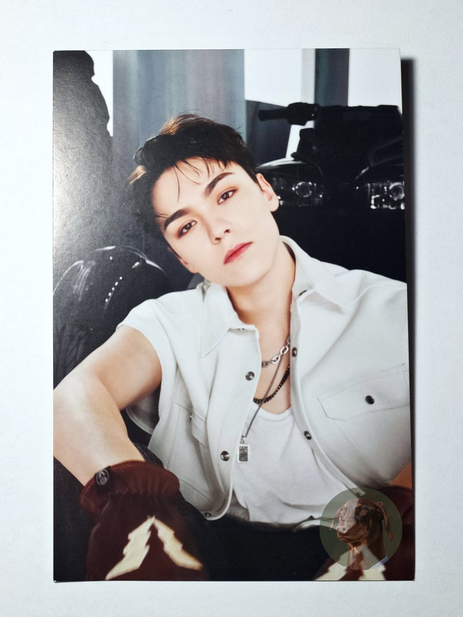 bamshoppe's tweet photo. #budolnibam | wts lfb svt ph ๐ป
face the sun - postcards
- path / pioneer ver.
- 65 pesos each; 110 if by 2's
๐ท๏ธ fts svt s.coups joshua vernon hoshi face the sun seventeen ic wts lfb ph https://t.co/XV6GRGglmk