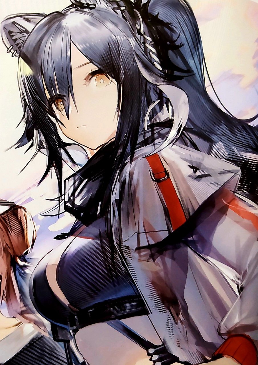 Liduke イラスト集 Amazon.co.jp: アークナイツ Liduke イラスト集 グッズ : おもちゃ