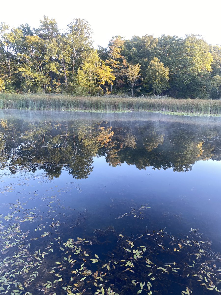 lessofme330's tweet photo. Highlights from #CVNP and a side trip to Edgewater Beach on Lake Erie for sunset. #sisterweekend 1/3 https://t.co/jeCBlQ7EAE