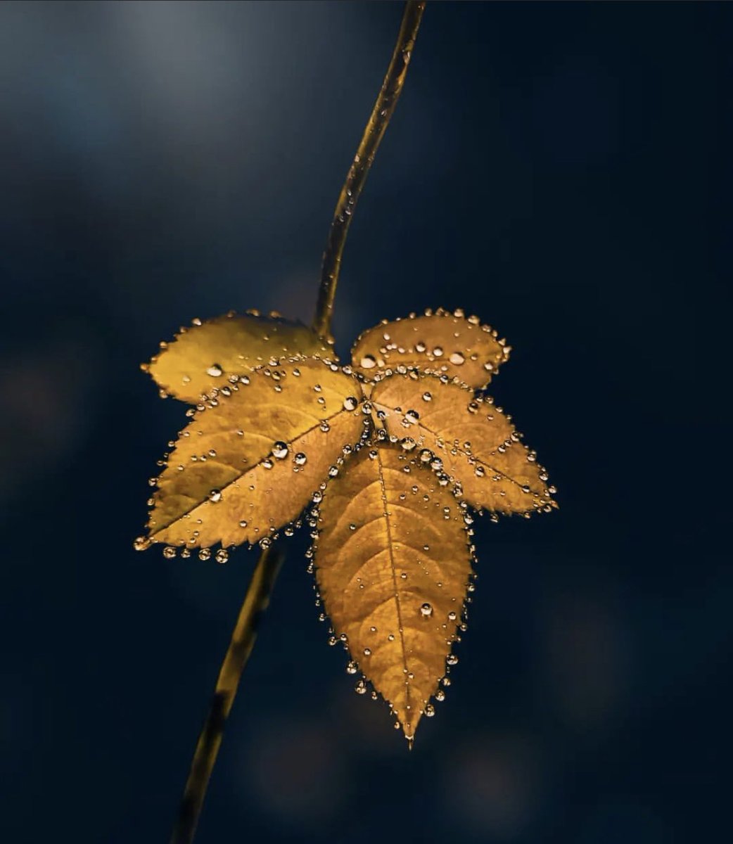 _NOFU's tweet image. 1 OCTOBER ..♥️