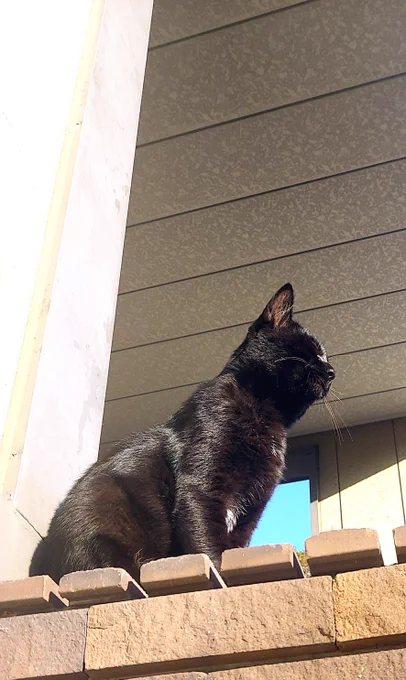 おはようございます。>朝の師匠 
