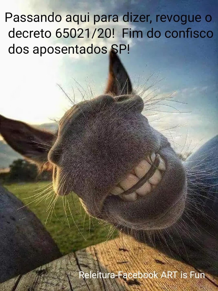 piloto_andreia's tweet photo. ISENÇÃO  SÓ PARA QUEM É CONFISCADO EM 12%???
E o restante???Não  precisa???
NÃO, TEM QUE SER PRA TODOS!

@PSDB_SP
@UOLNoticias
@carlaopignatari
@PSDBoficial
@rodrigogarcia_ 
@AssembleiaSP
@tvglobo
@CNNBrasil

#RodrigoGarciaFim https://t.co/SD3lbWG5tH