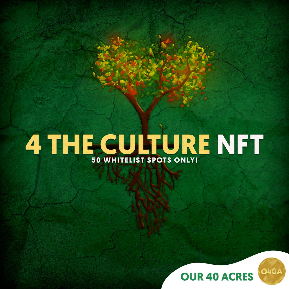 O40ACoin tweet media