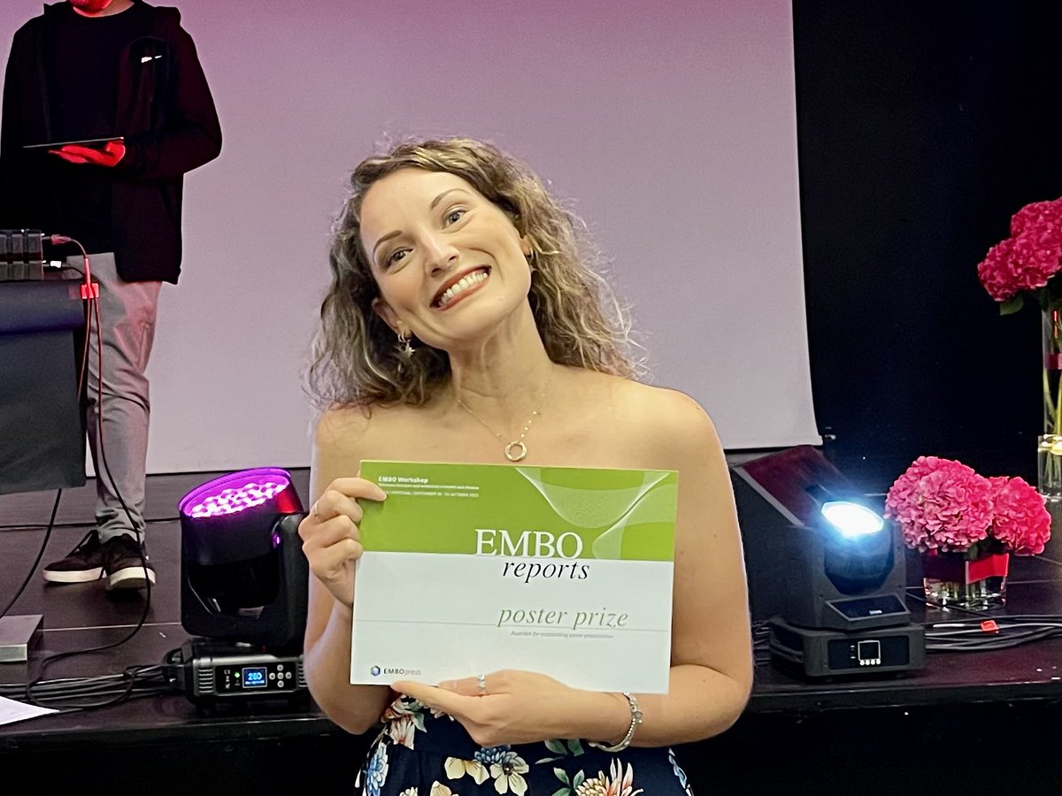 Miguel Godinho Ferreira tweet media