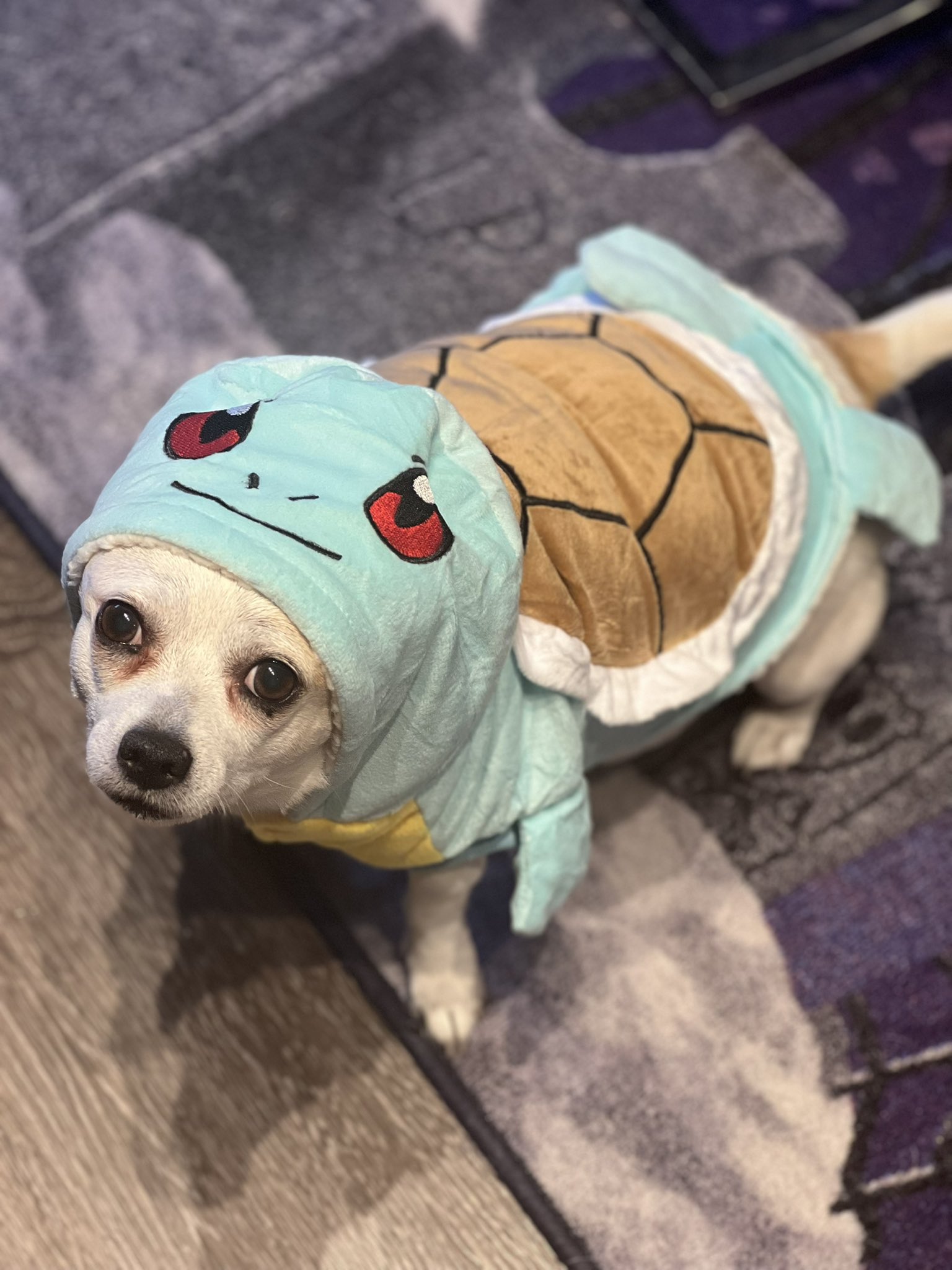 Oxillery on Twitter: