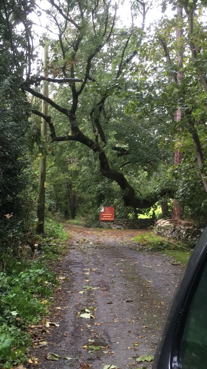MLProduce's tweet photo. We were hit by the high winds and rain…..and unable to get off the farm. We were going to move it with the tractor until we realised it was lying on the electricity cable so left it for the experts #storm #wildwinds #Weather #farming #isleofman https://t.co/AyEpwUpEGz
