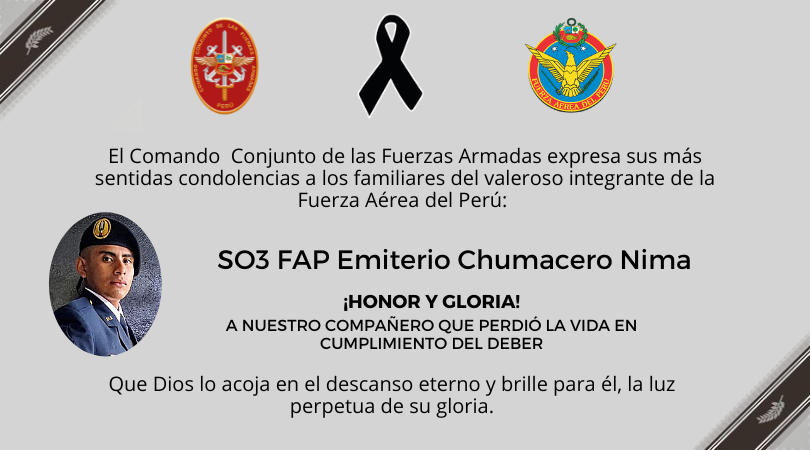 CCFFAA_PERU tweet picture