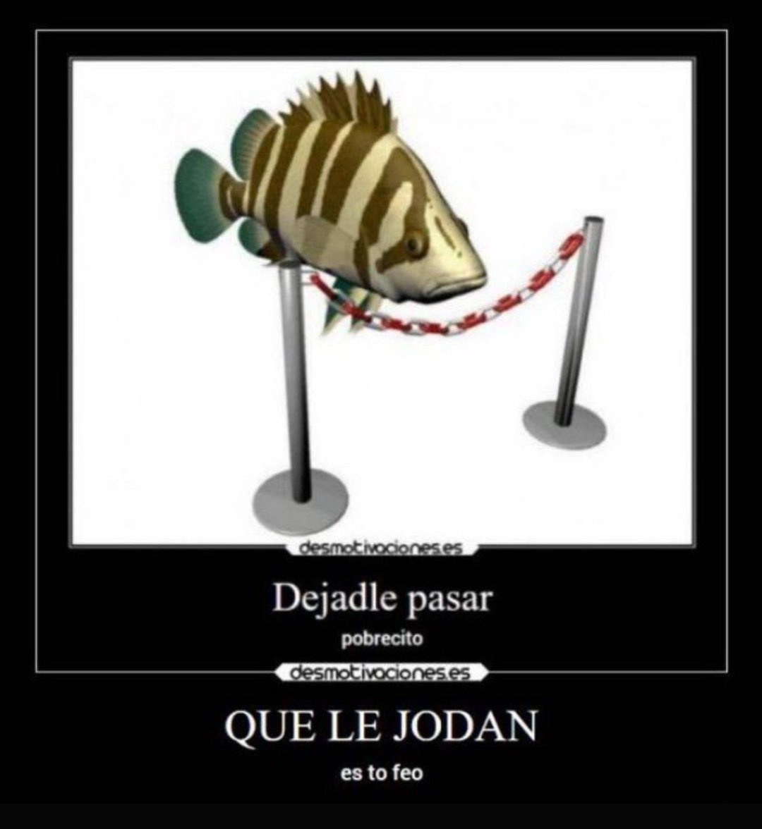 wikiesqueletos's tweet photo. yo le dejaba pasar pinta majo el colega https://t.co/HRoc045CJX