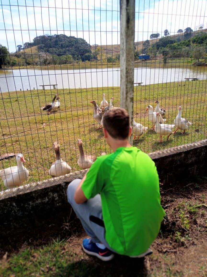 GabssCS's tweet photo. Dia 011 Vendo os papagaio https://t.co/hNSl5XQSWU