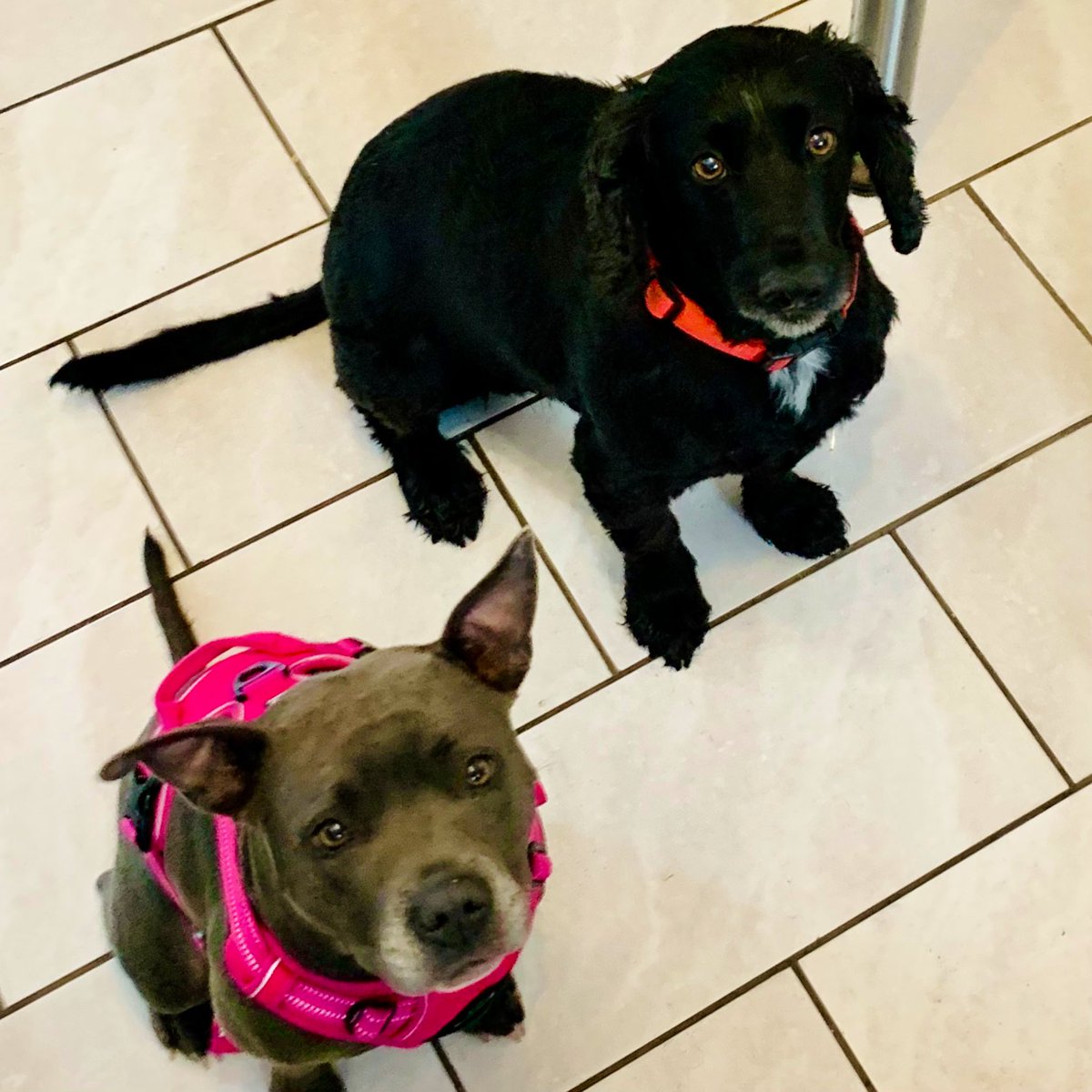 Isa Mary tweet media