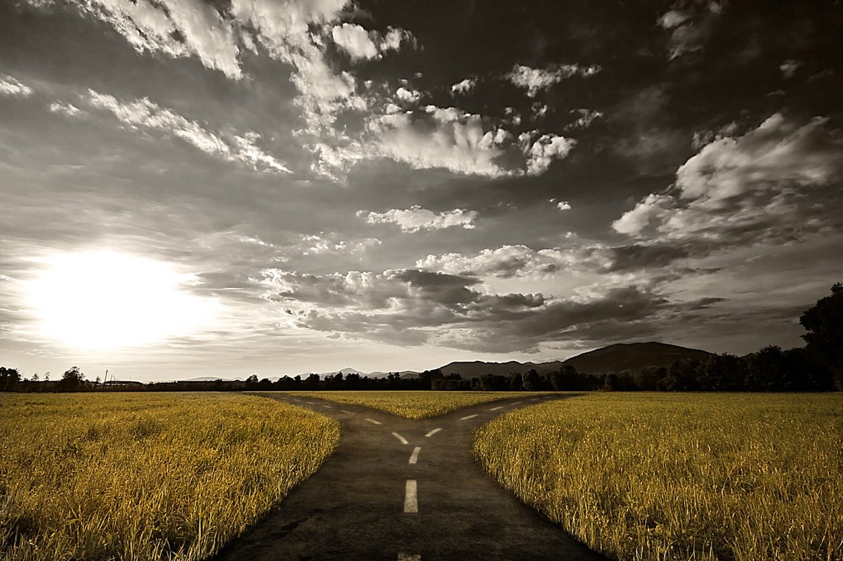 sojehemp's tweet photo. Are you ready to set on the path to a #tobacco-free lifestyle? 

Learn how #SOJE can help you #QuitSmoking by clicking the link below: 

https://t.co/fWzktxi5PD

#Hemp #HempCigarettes #NativeBrands https://t.co/YBWffpWqa7