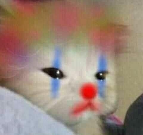 00MYD3M0N's tweet photo. Eu tenho exatamente 1h para pegar um ônibus, ir na faculdade jantar, voltar para casa e começar o game. https://t.co/OHX9Kl8aJg