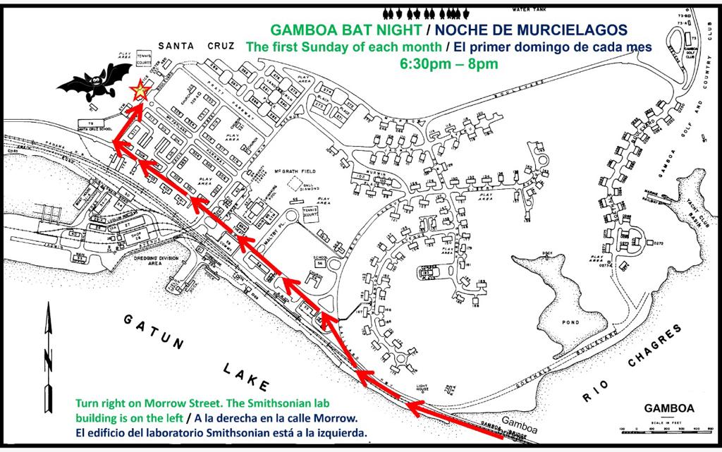 stri_panama's tweet photo. ¡Vuelve la Noche de Murciélagos el primer domingo del mes! No pierda la oportunidad de conocerlos de cerca este domingo 2 de oct. desde las 6:30pm. Nos reuniremos frente al laboratorio principal del Smithsonian en Gamboa para una charla en inglés y español. ¡Trae tu mascarilla! https://t.co/c0TwtQkTQM