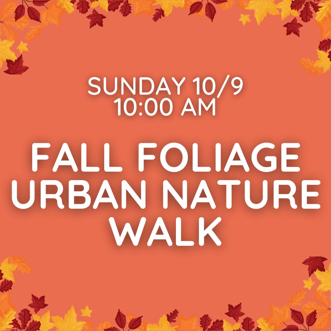 Fall is here!! Our first of two events is coming up in just over a week: Join us in our next Urban Nature Walk exploring the fall foliage surrounding the perimeter wall of the Reservoir! 

Reserve: eventbrite.com/e/fall-foliage…
#FallFoliage #UrbanNature #SaveJCR3 #JerseyCityEvents