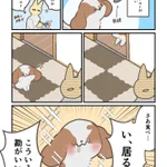 目を輝かせながら待機している姿が可愛すぎる!ある日の出来事を描いた犬漫画!