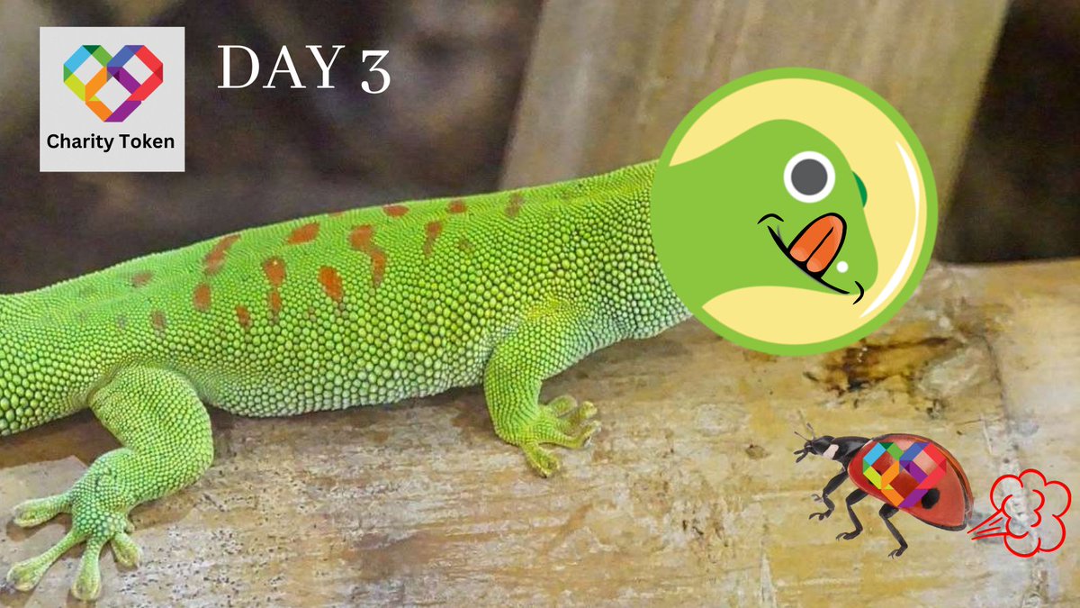 CharityToken4's tweet photo. DAY 3 of the @coingecko listing campaign 💥 

Help us gain awareness and beat the algorithms!! 💪🏻 

Download the new Charity Token mobile #app 📱  and get a chance at an #airdrop!

We will try to send as many tokens as we can out to everyone! 

❤ 

https://t.co/8LceG4V2Nu https://t.co/CvuKlf5fA7