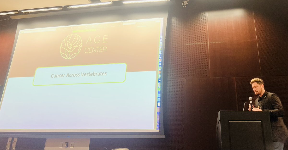 CristinaCBaciu's tweet photo. How does cancer manifest across vertebrates? We’re learning about this from @ace_arizona ACE Scholar Team Lead @walkermellon at the #BioSciSW symposium #SOLUR https://t.co/LqKAtlfpy7
