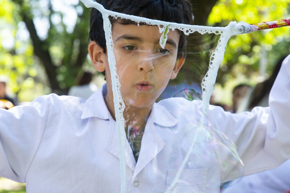 Fernanda Alonso tweet media