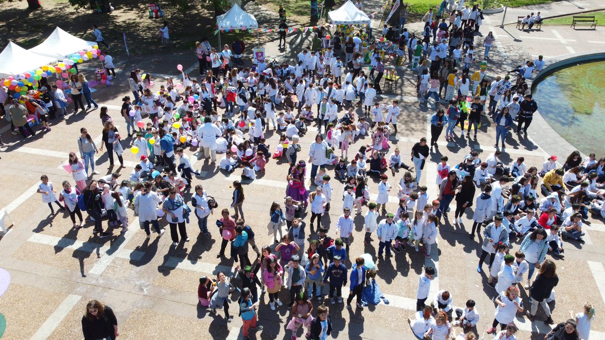 Fernanda Alonso tweet media